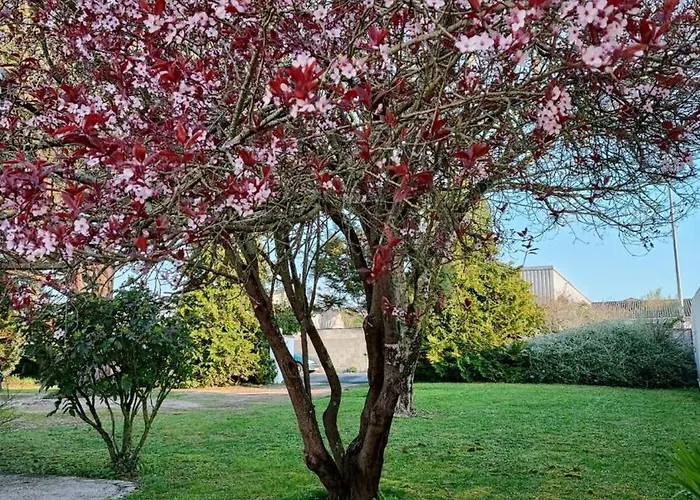 Charming House * Aytré